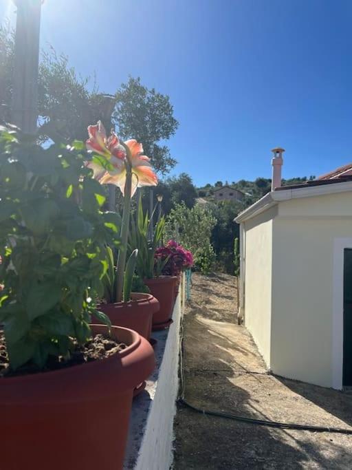 Ferienwohnung Alex House Parga Exterior foto