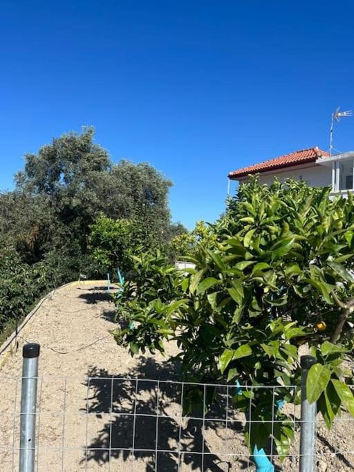 Ferienwohnung Alex House Parga Exterior foto