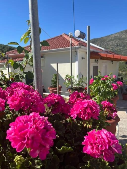 Ferienwohnung Alex House Parga Exterior foto