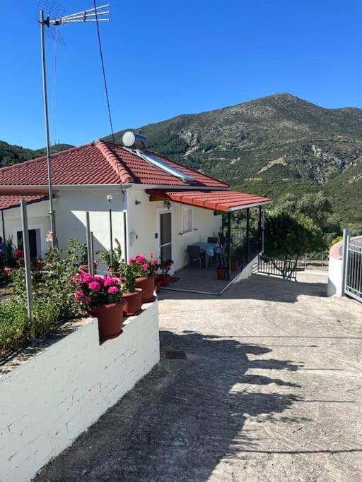 Ferienwohnung Alex House Parga Exterior foto